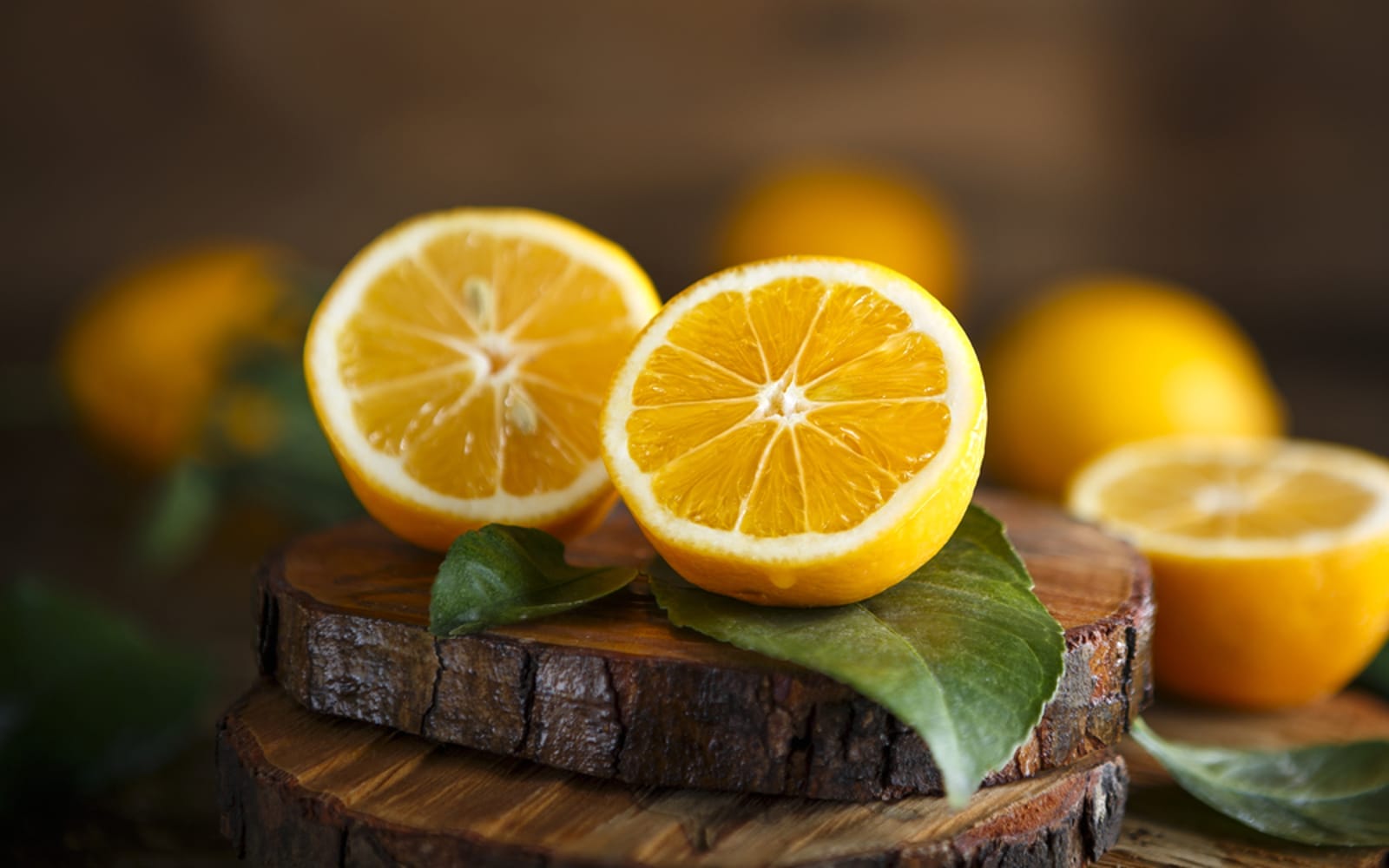 shutterstock_255814579