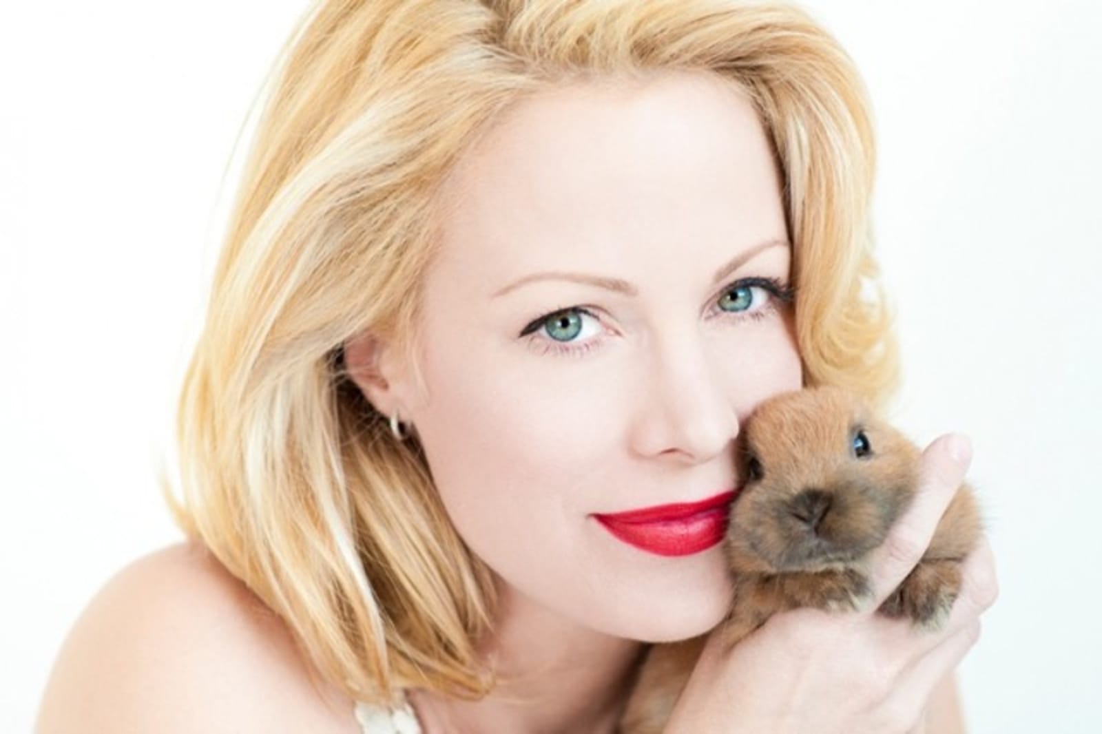 This Amazing New Animal Foster Database Headed by Alison Eastwood Could Help End Pet Homelessness!