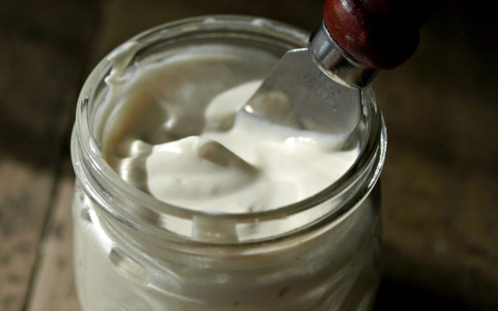 Oil Free Mayonnaise