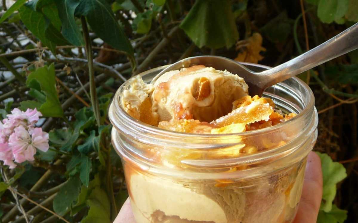 7 Ingredient Creamy Jackfruit Ice Cream