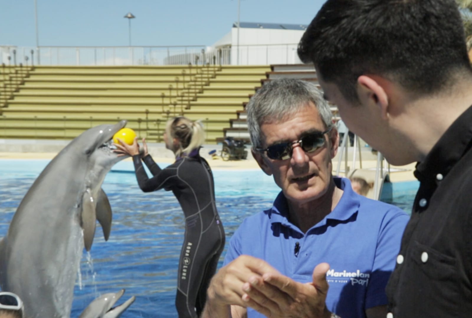 New Documentary Reveals the Lives of Orcas and Bottlenose Dolphins at Marineland Antibes