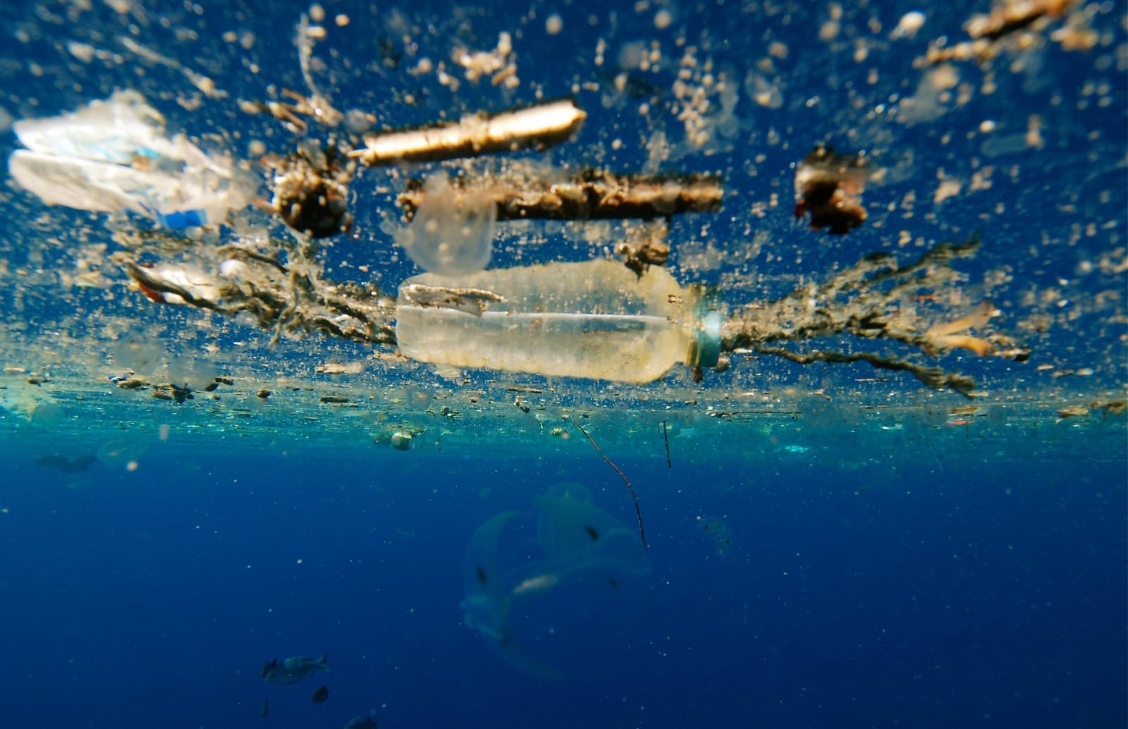 This Documentary Shows What Our Plastic Trash is Doing to Animals and the Environment