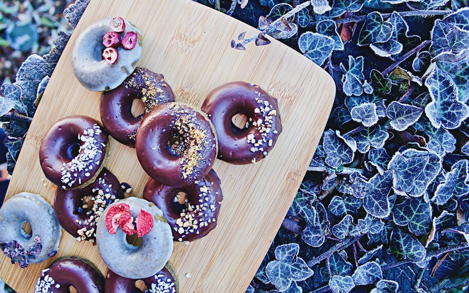 donuts2