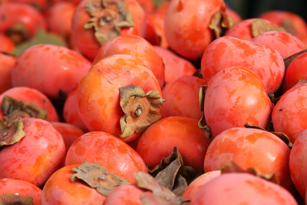 persimmons