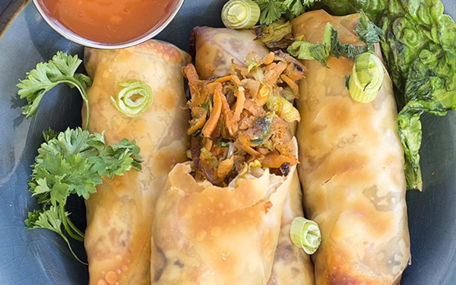 vegetarian-spring-rolls