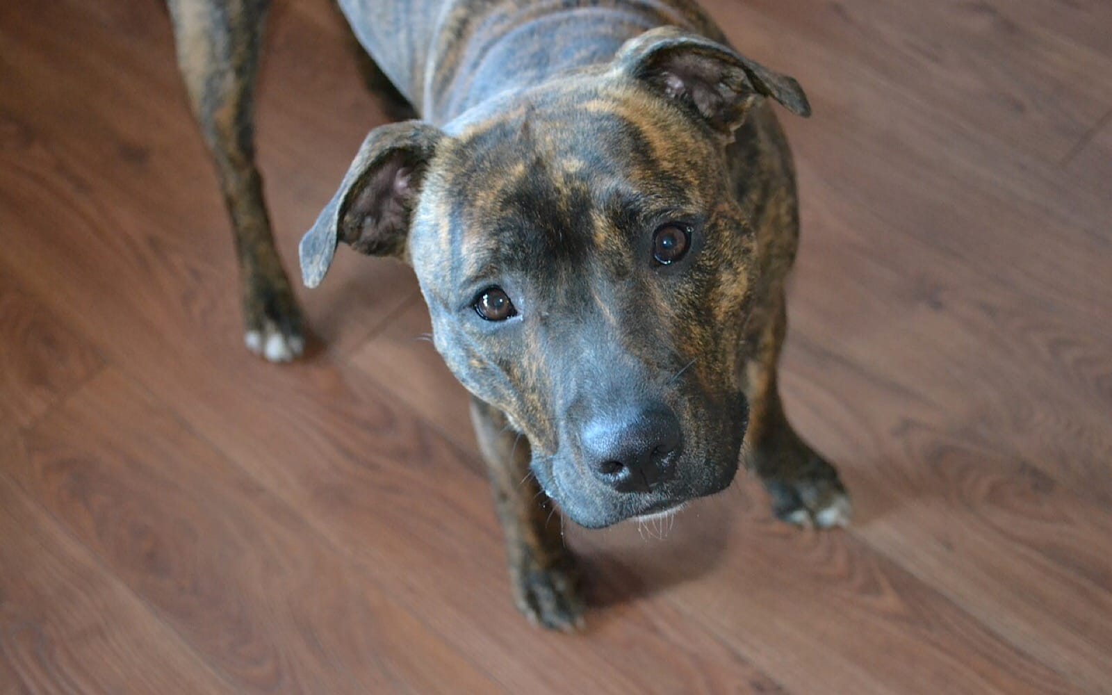 3289b99b-37ae-4e3b-a2c2-2ff236f4e268