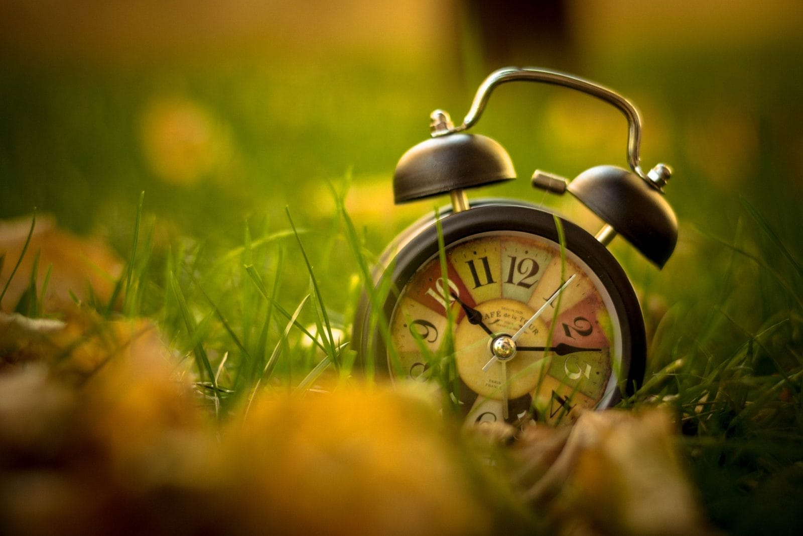 alarm clock in grass