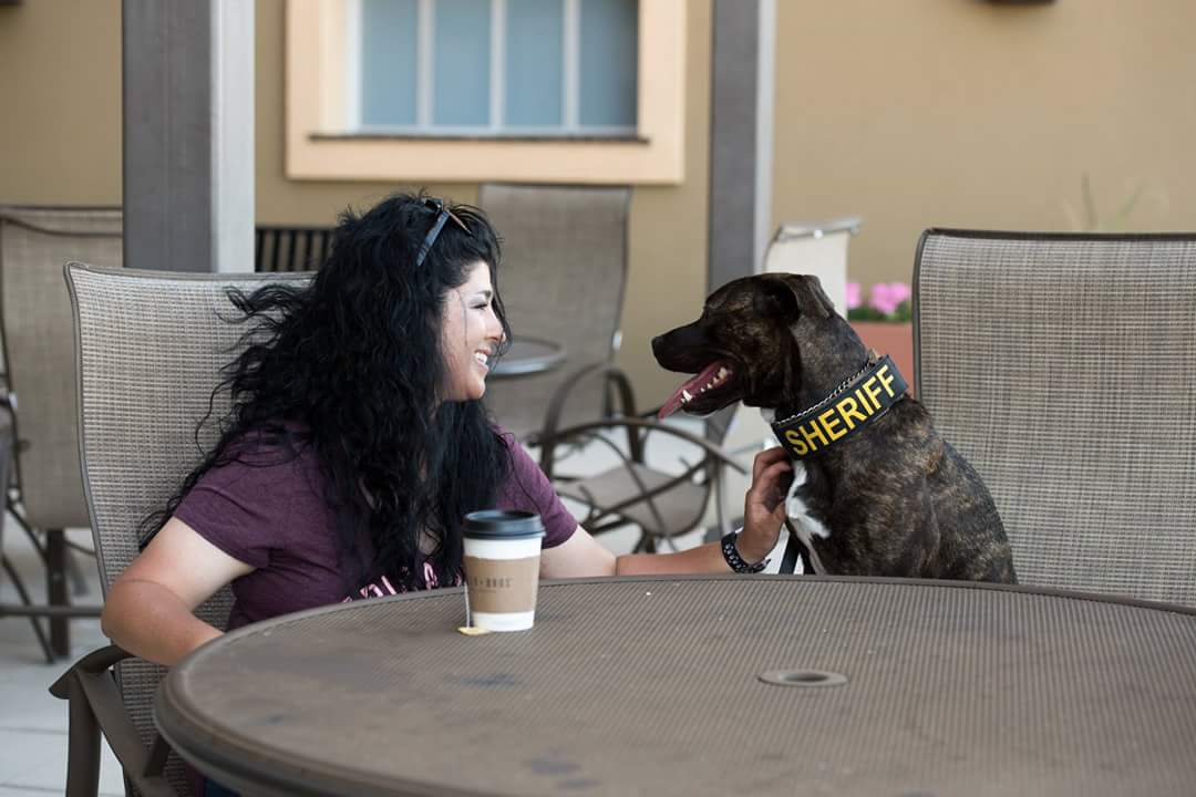 How These 4 Amazing Organizations Are Advocating for Pit Bulls and Their Guardians