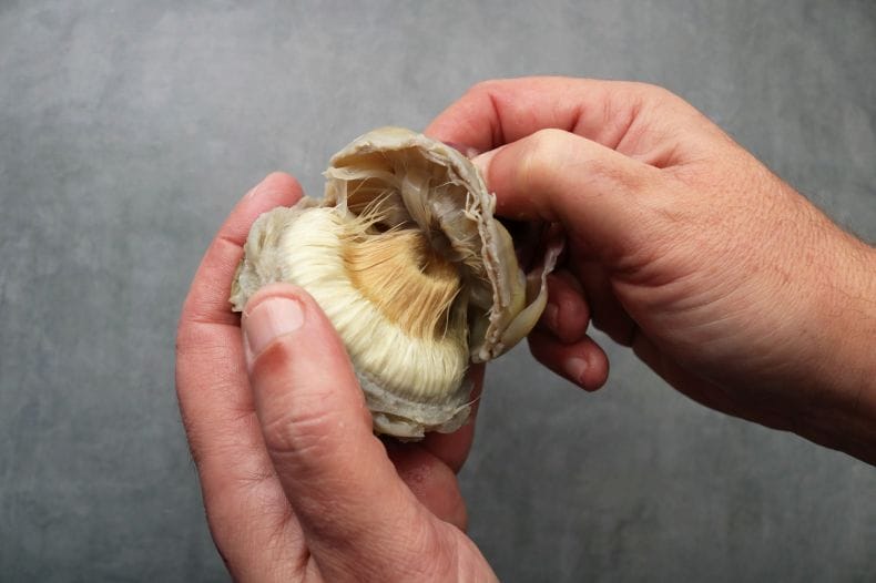 5-Ingredient Artichoke Oregano Spread