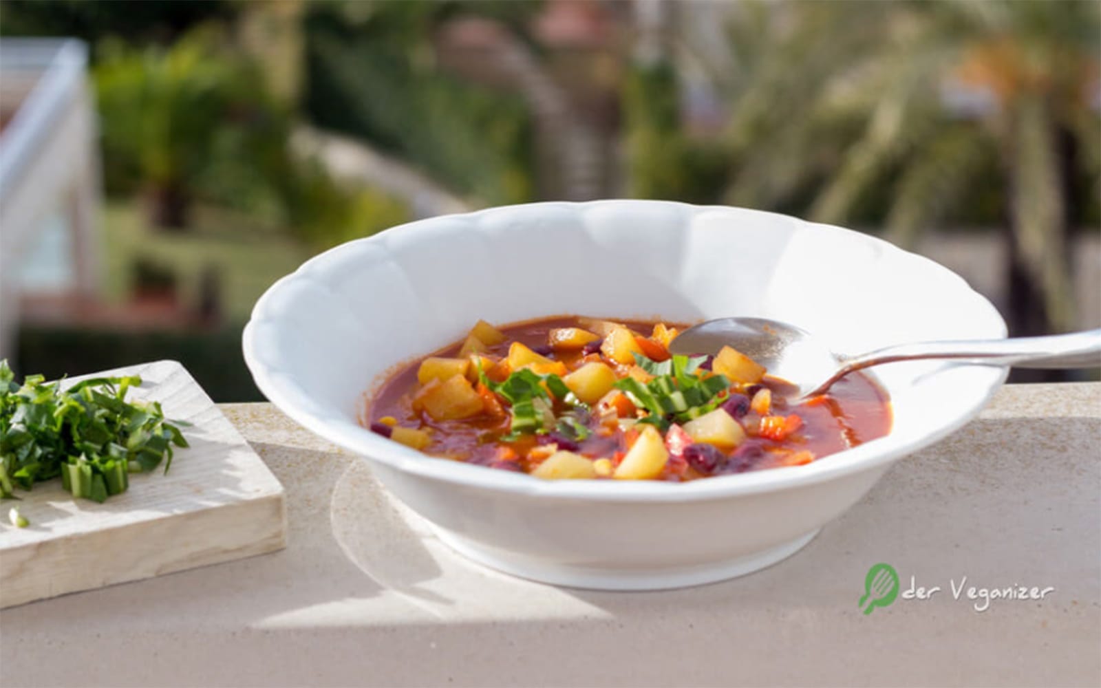 Vegan Spicy Texas Stew