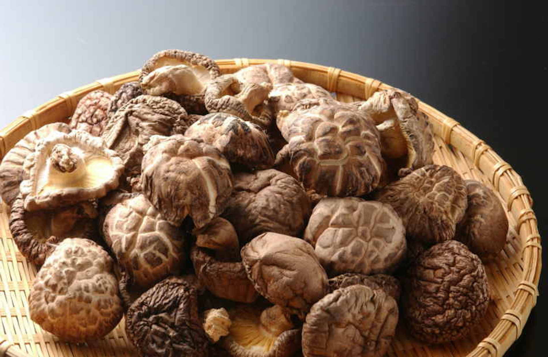 shiitake mushroom