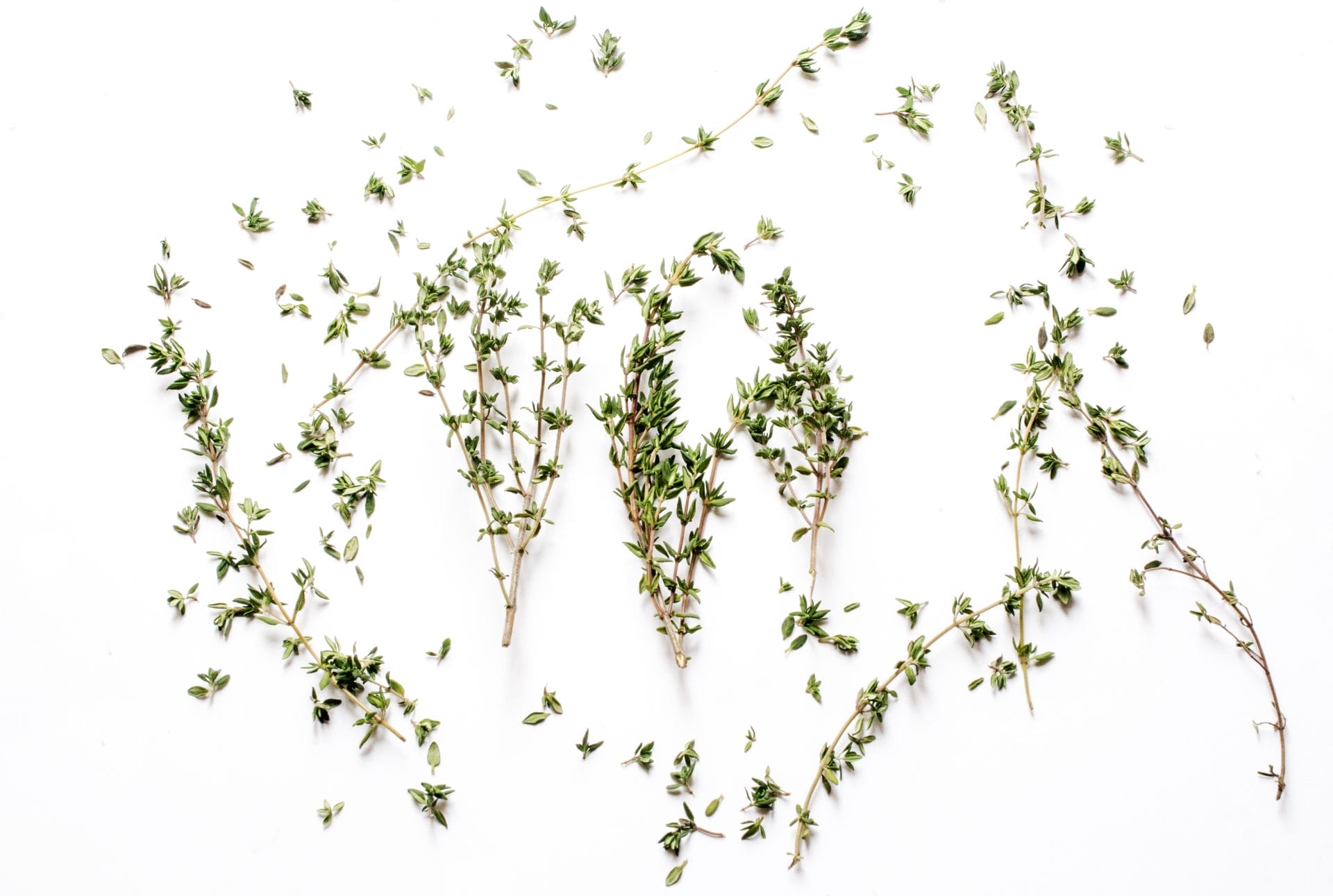 Thyme sprigs