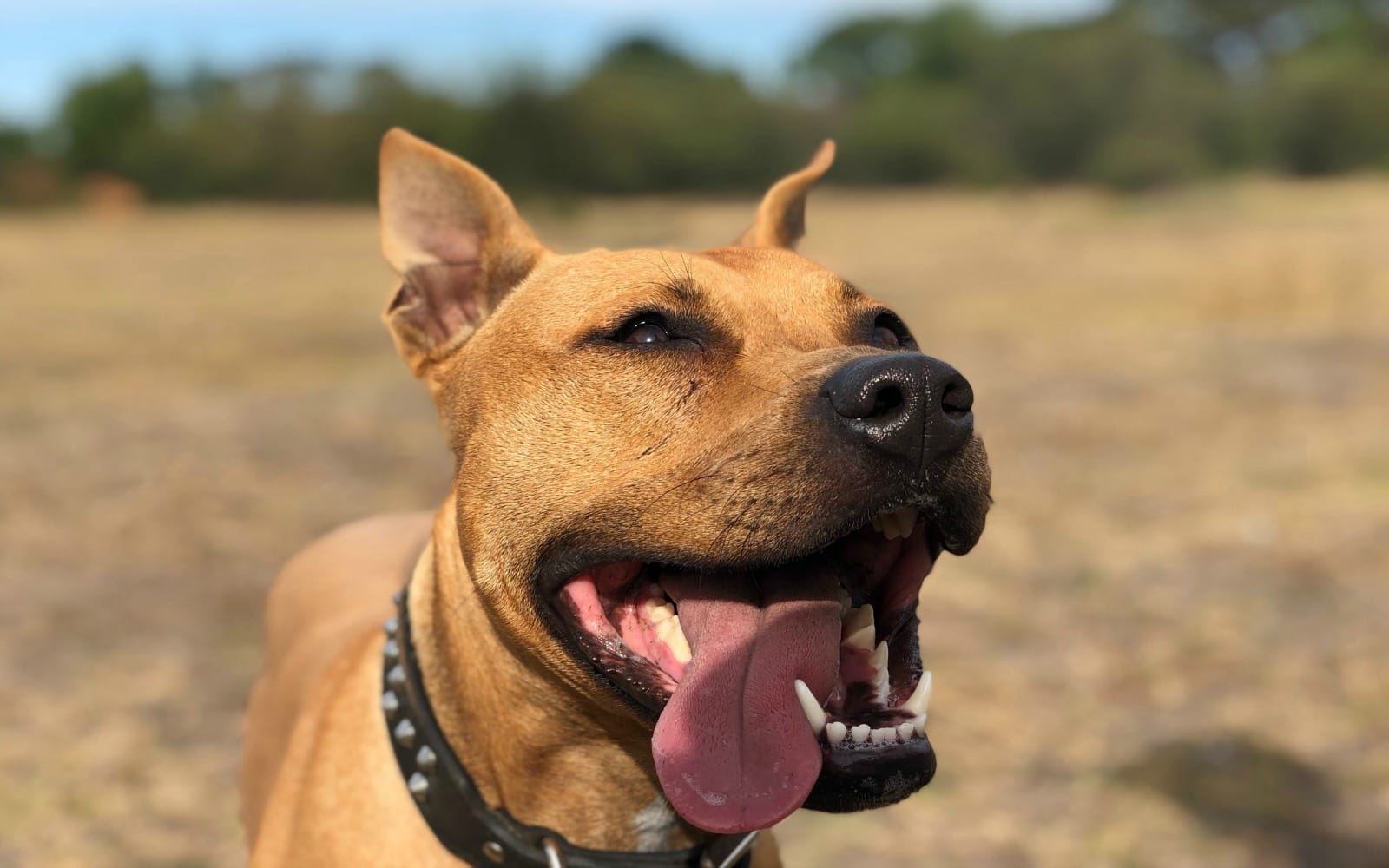 vance-a-656562-unsplash