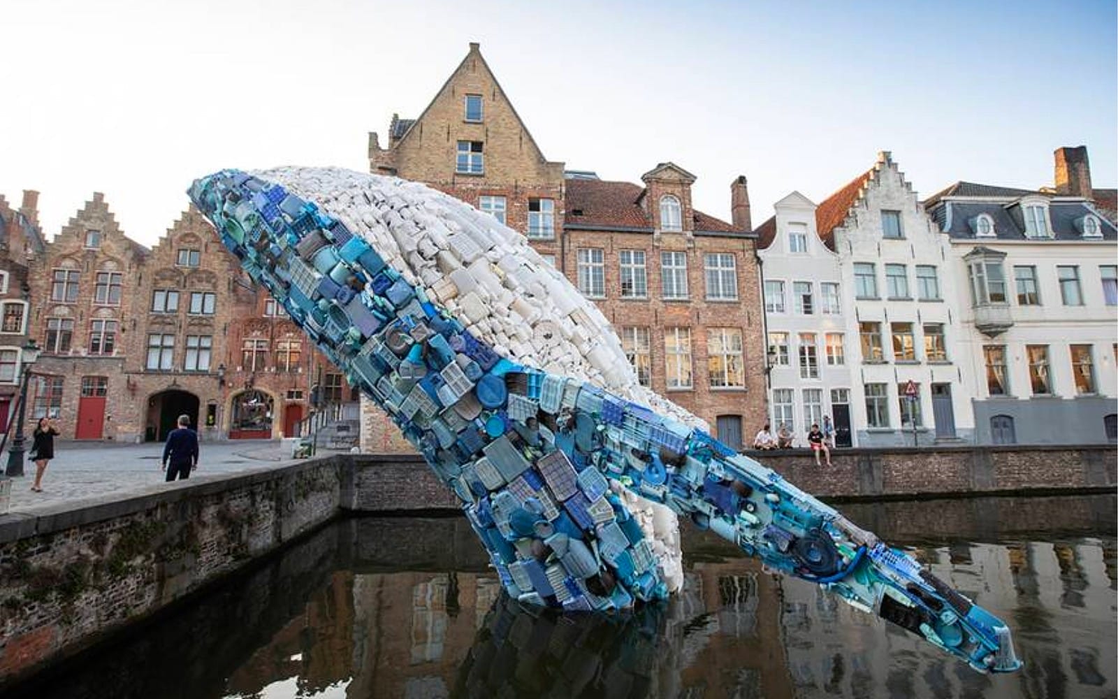 whale