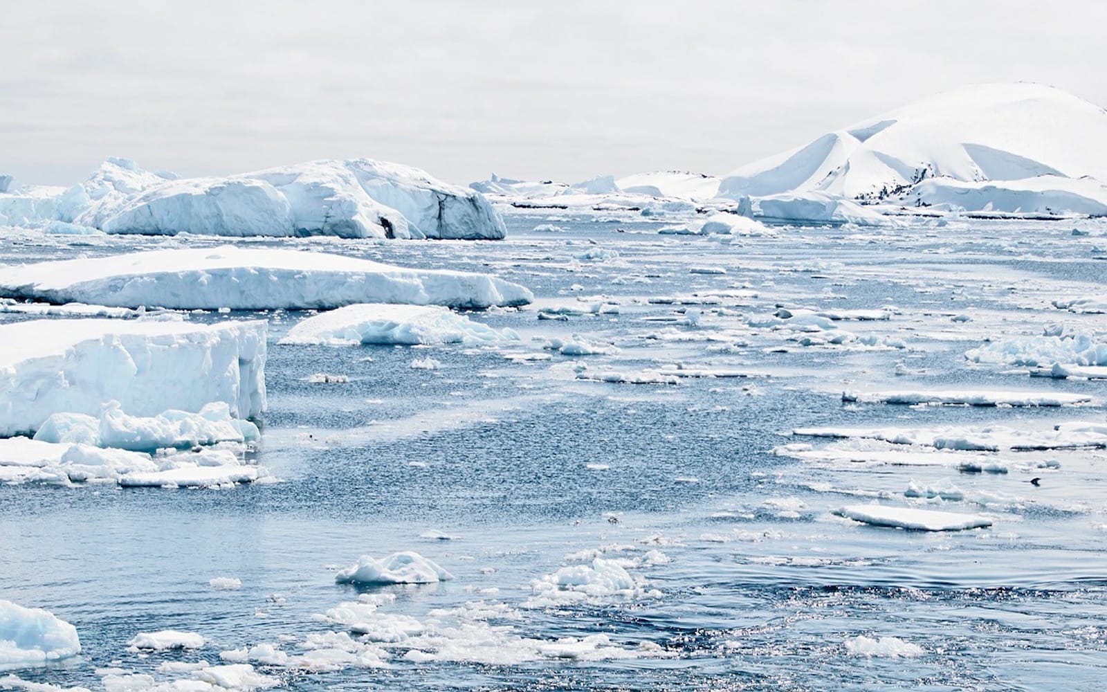 antarctica-482686_1280