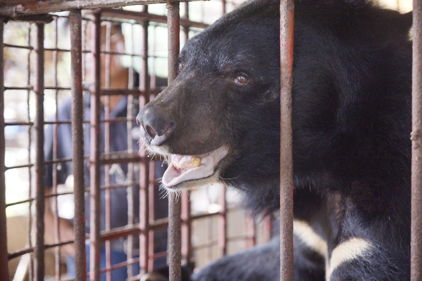 dsc3866-e1535633434696