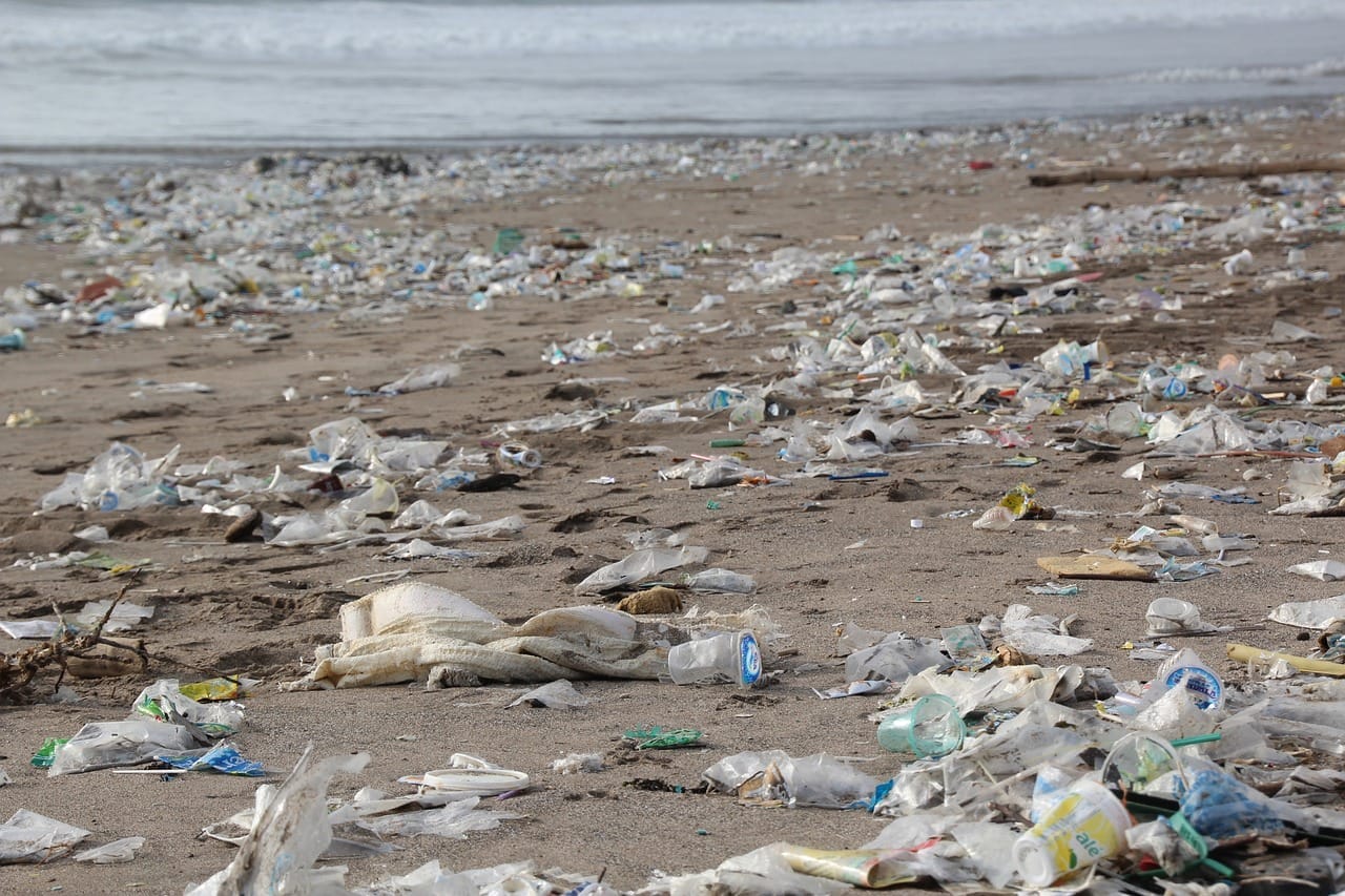 Why Recycling Shouldn&rsquo;t Be Our Only Solution for Reducing Landfill Waste
