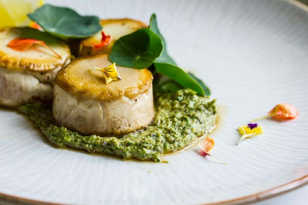 Oyster Mushroom Scallops with Nasturtium Pesto