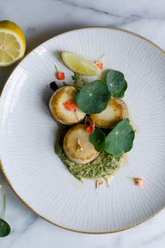 Oyster Mushroom Scallops With Nasturtium Pesto [Vegan]