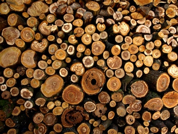 Firewood