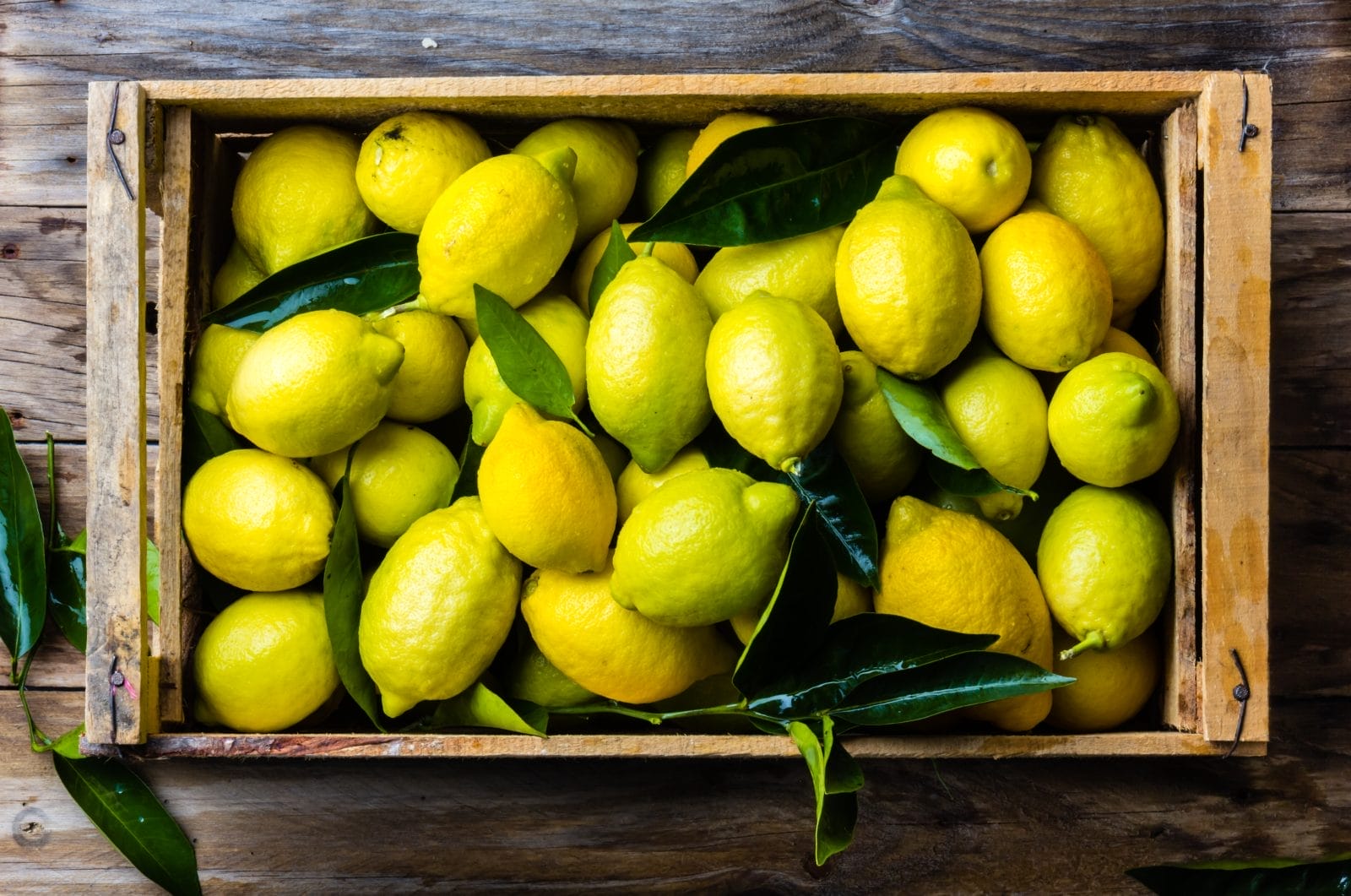Lemons in a bin