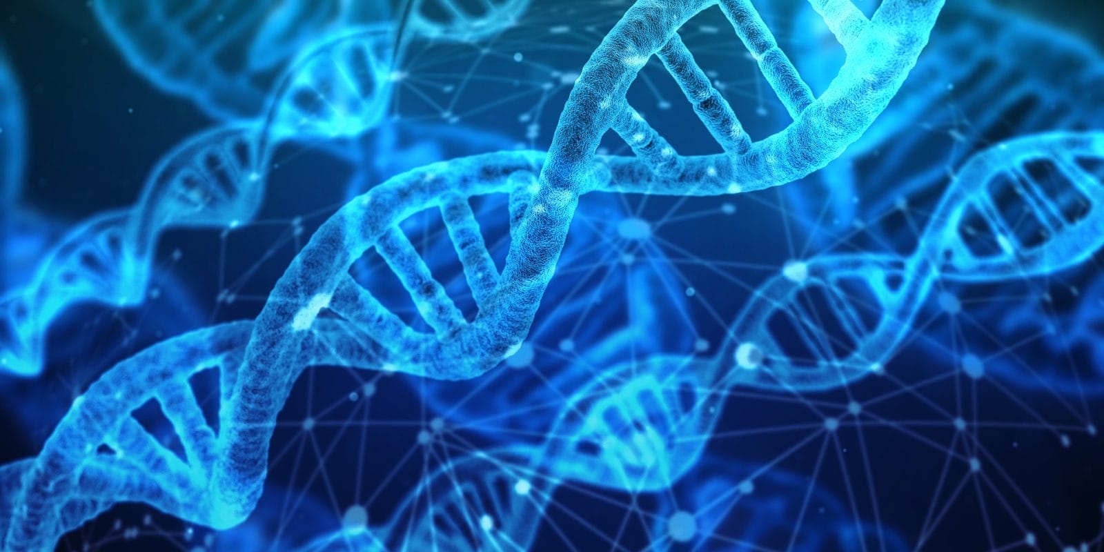 protein amino acids