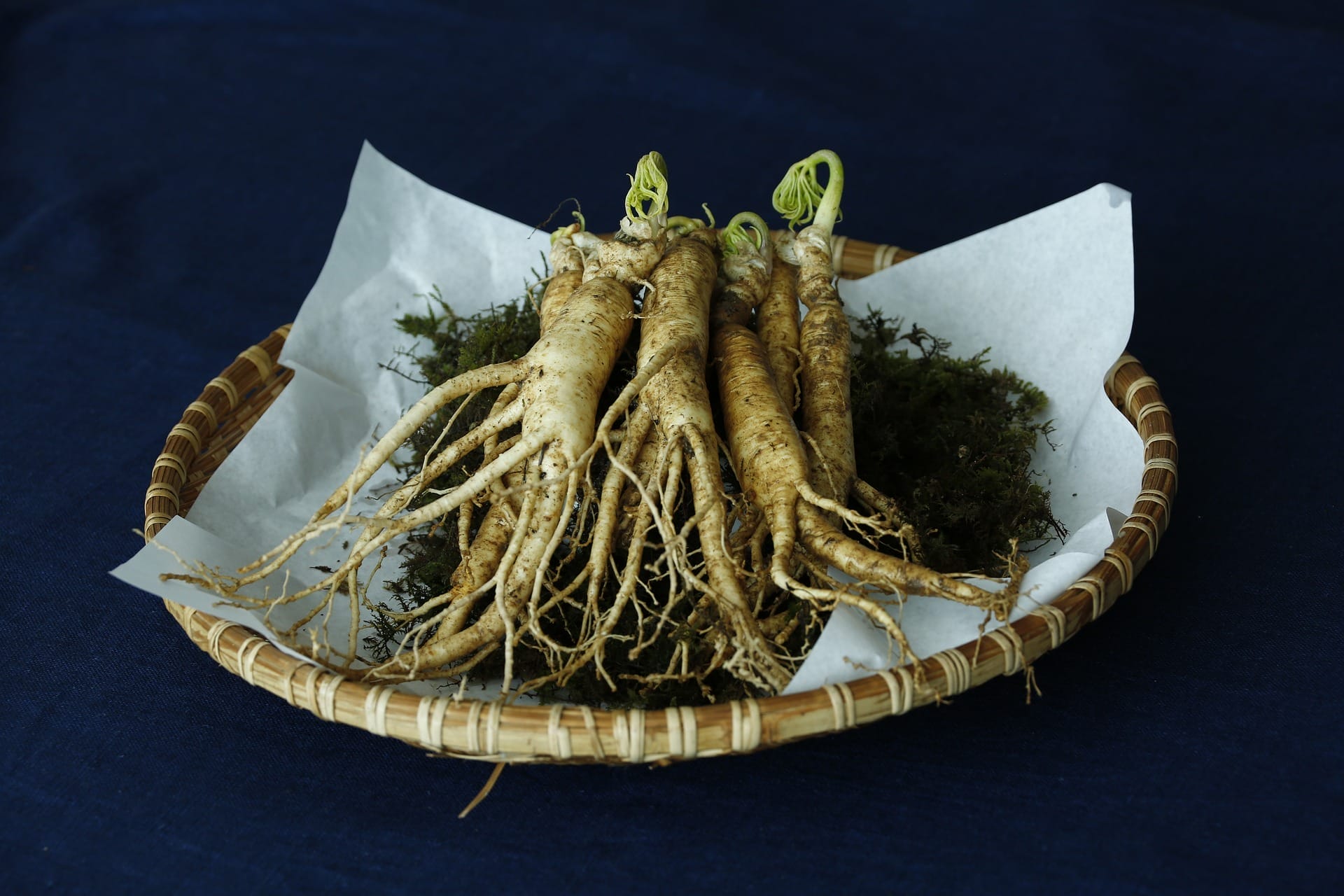 Herb ginseng on a plate