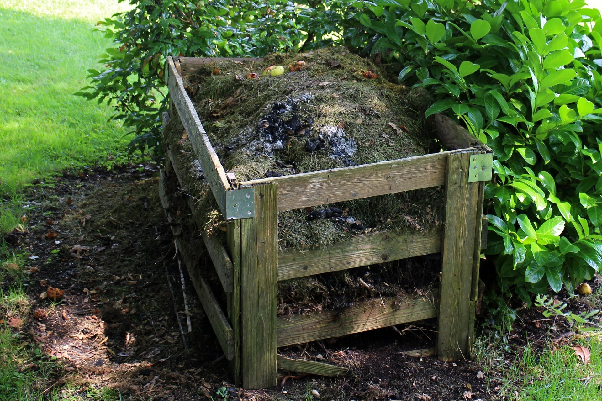 compost 