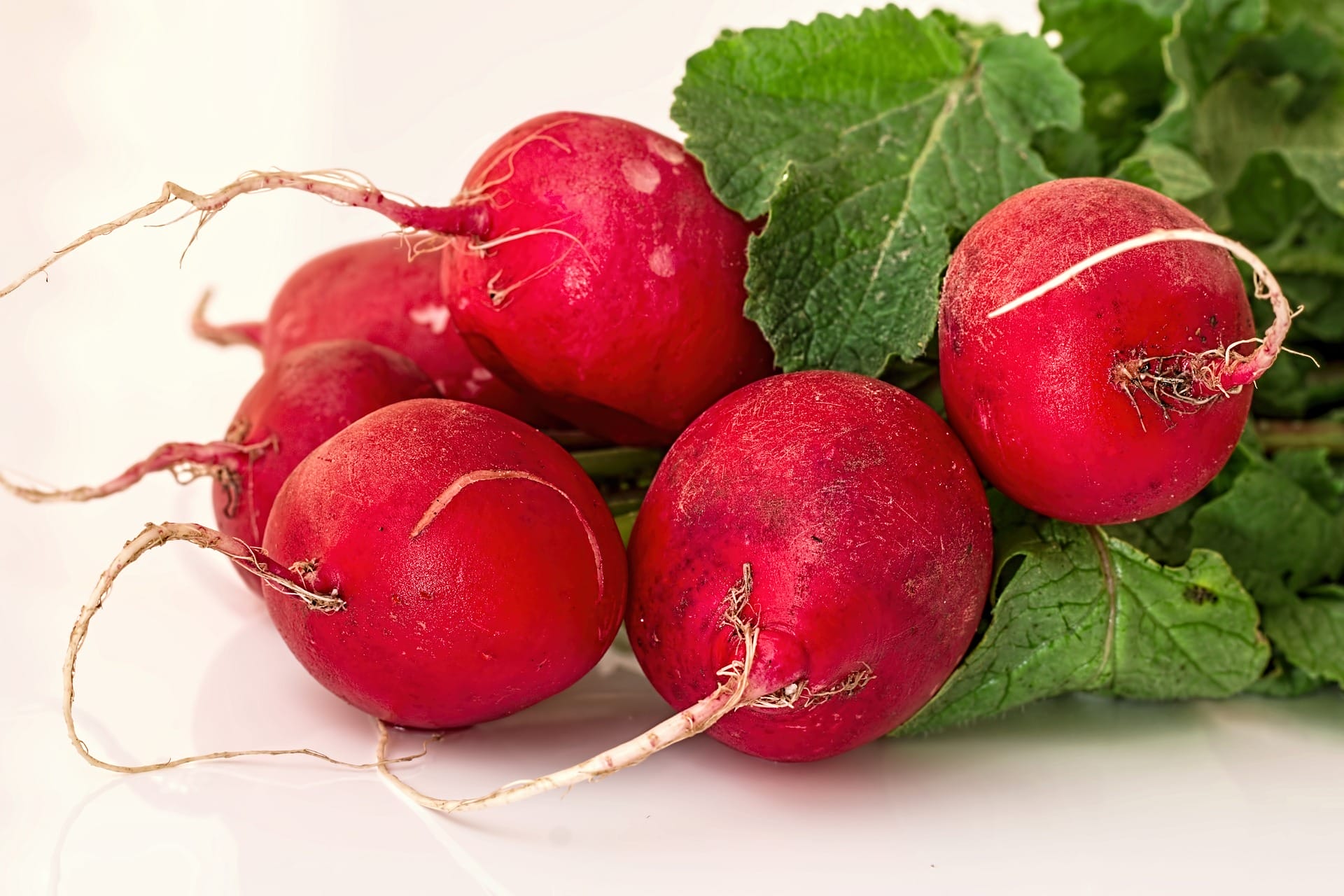 beetroots