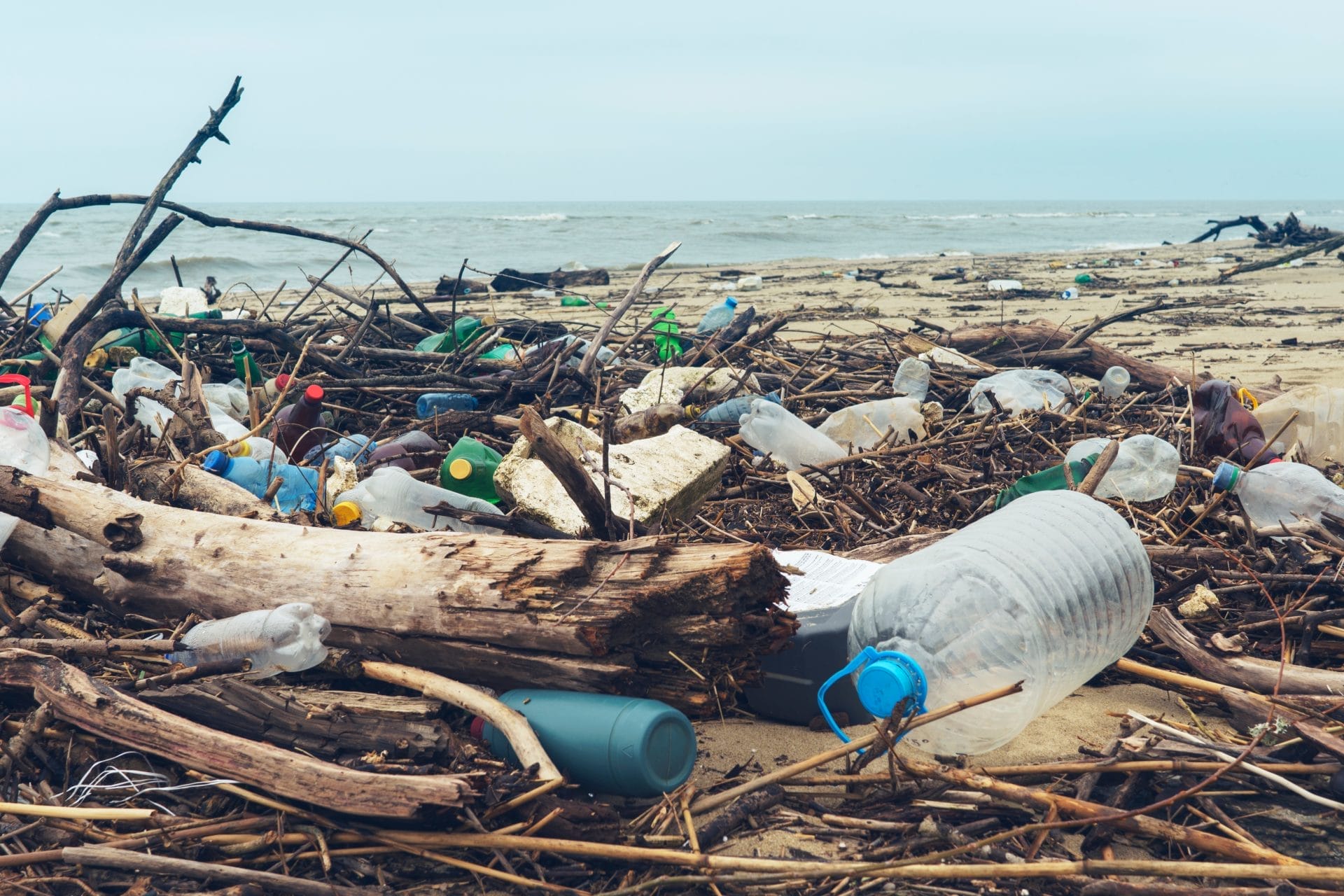 plastic pollution