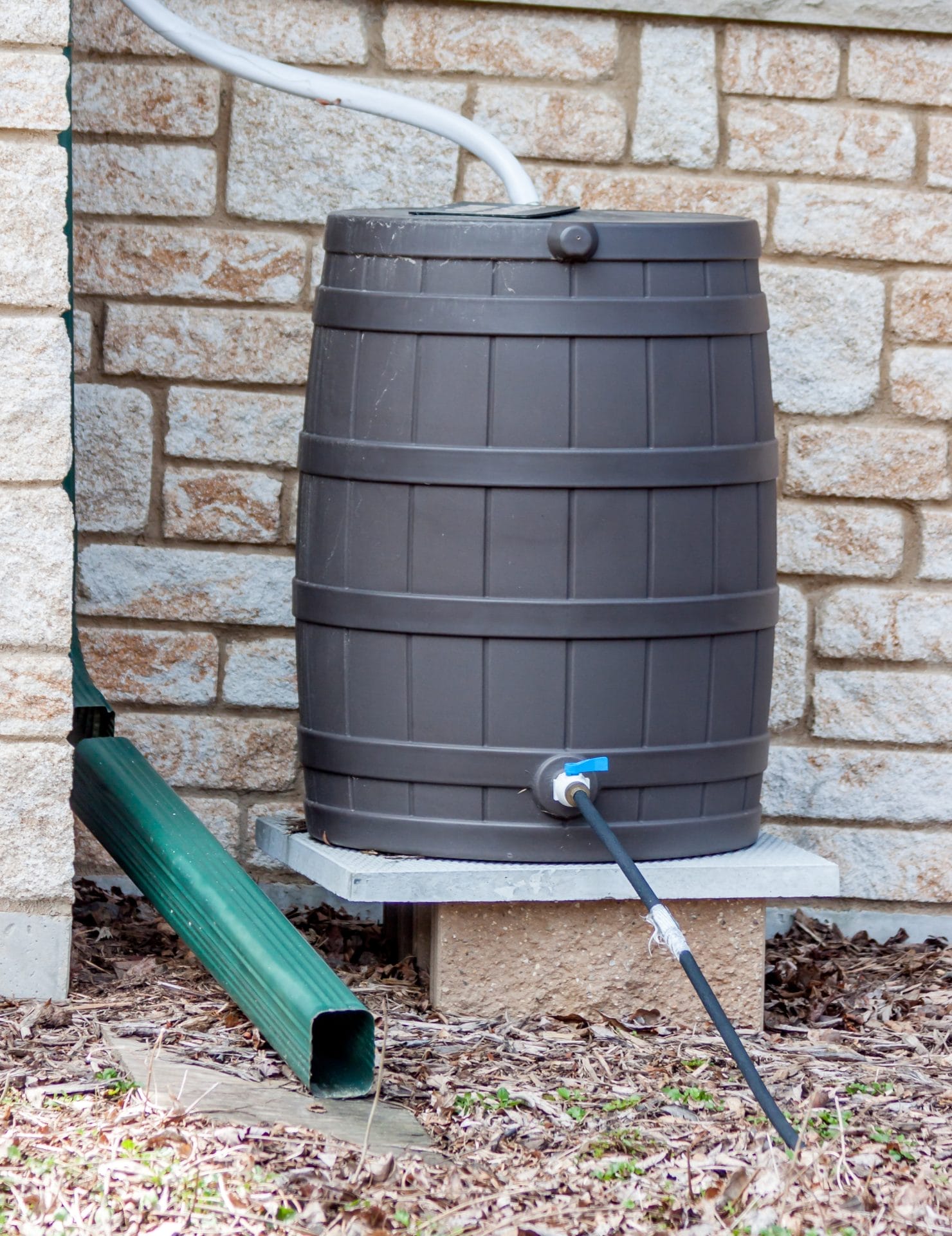 barrel set up to catch rain