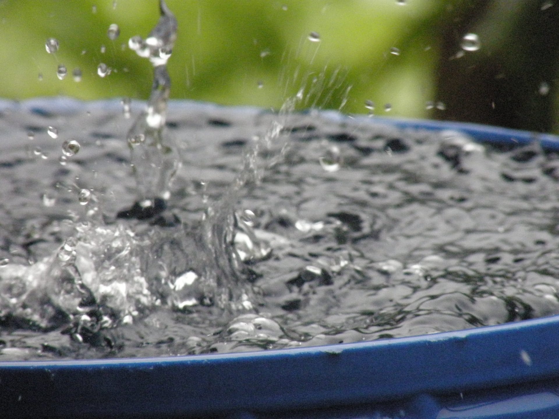 rain water