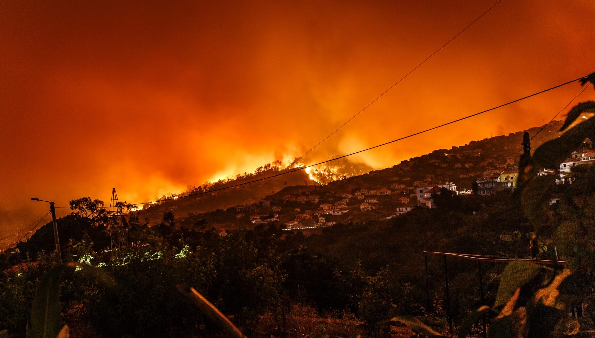 Forest Fire in the Amazon