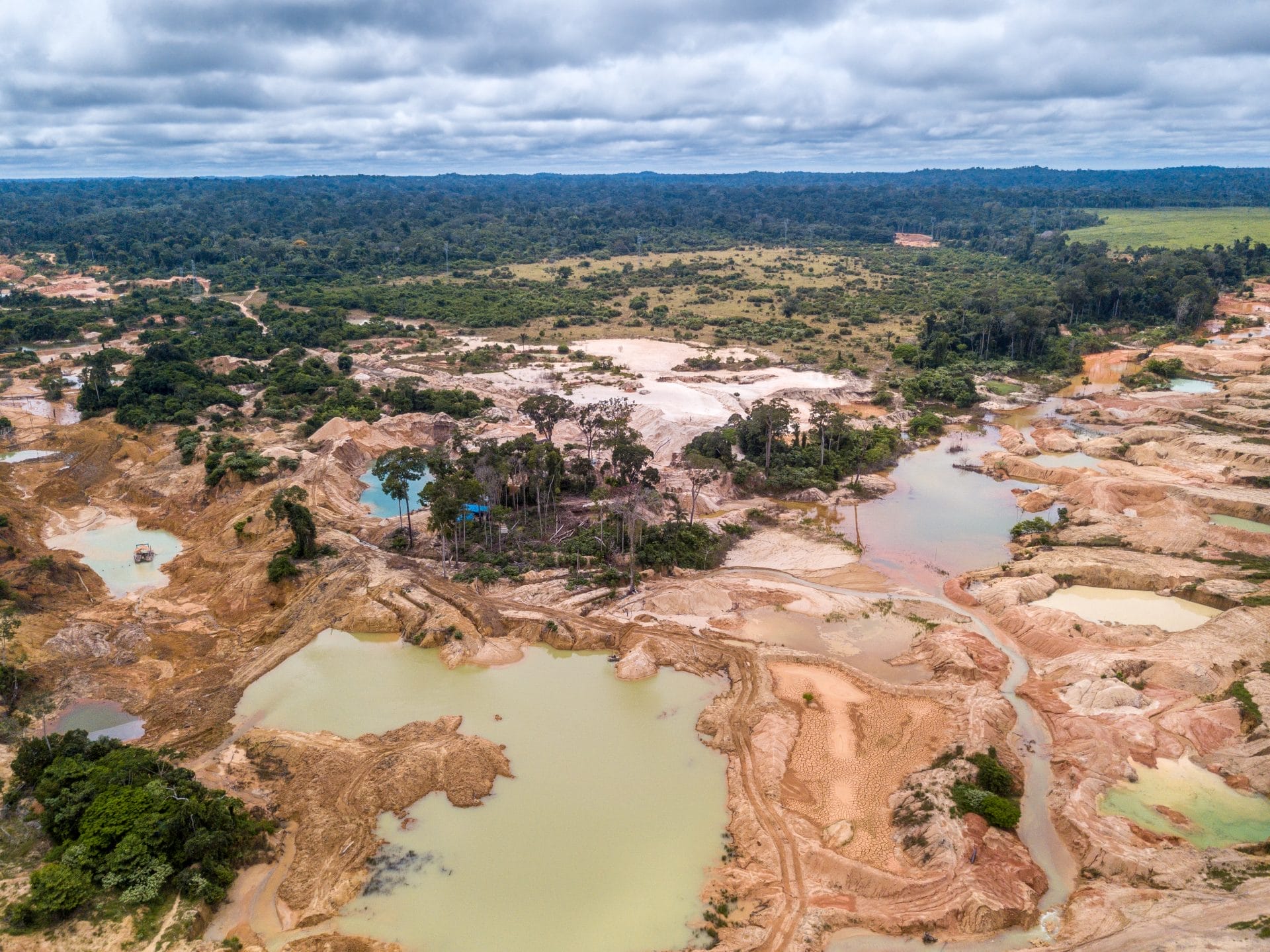 Deforestation in brazil