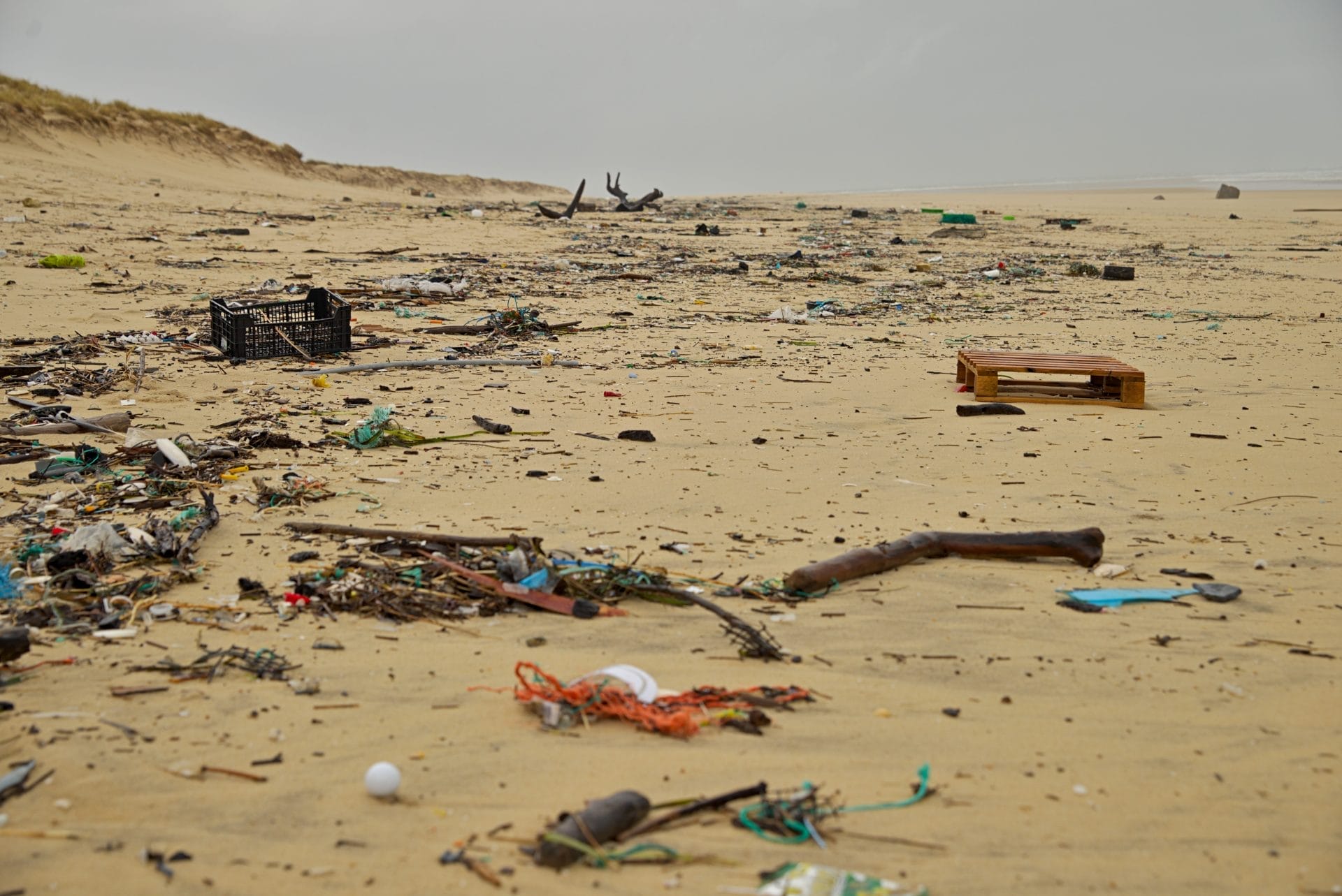 Beach Filled with Plastic