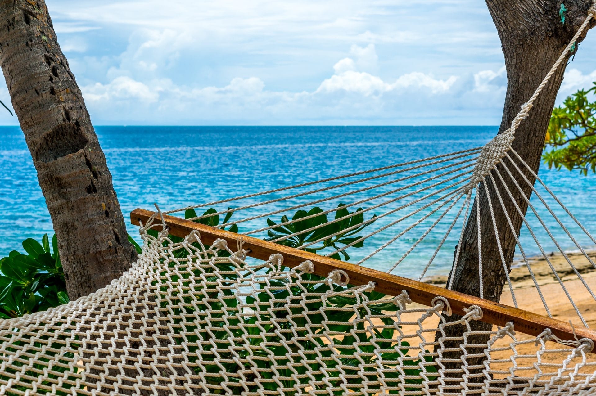 Hammock Over Water