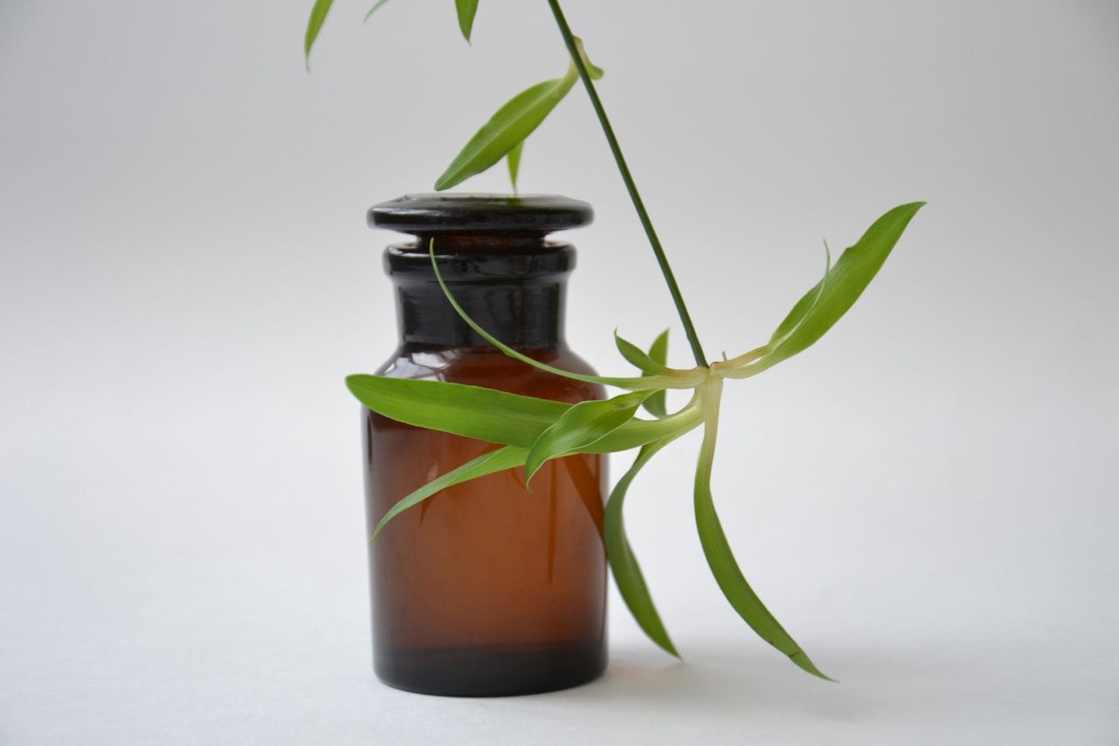 bottle of elixir