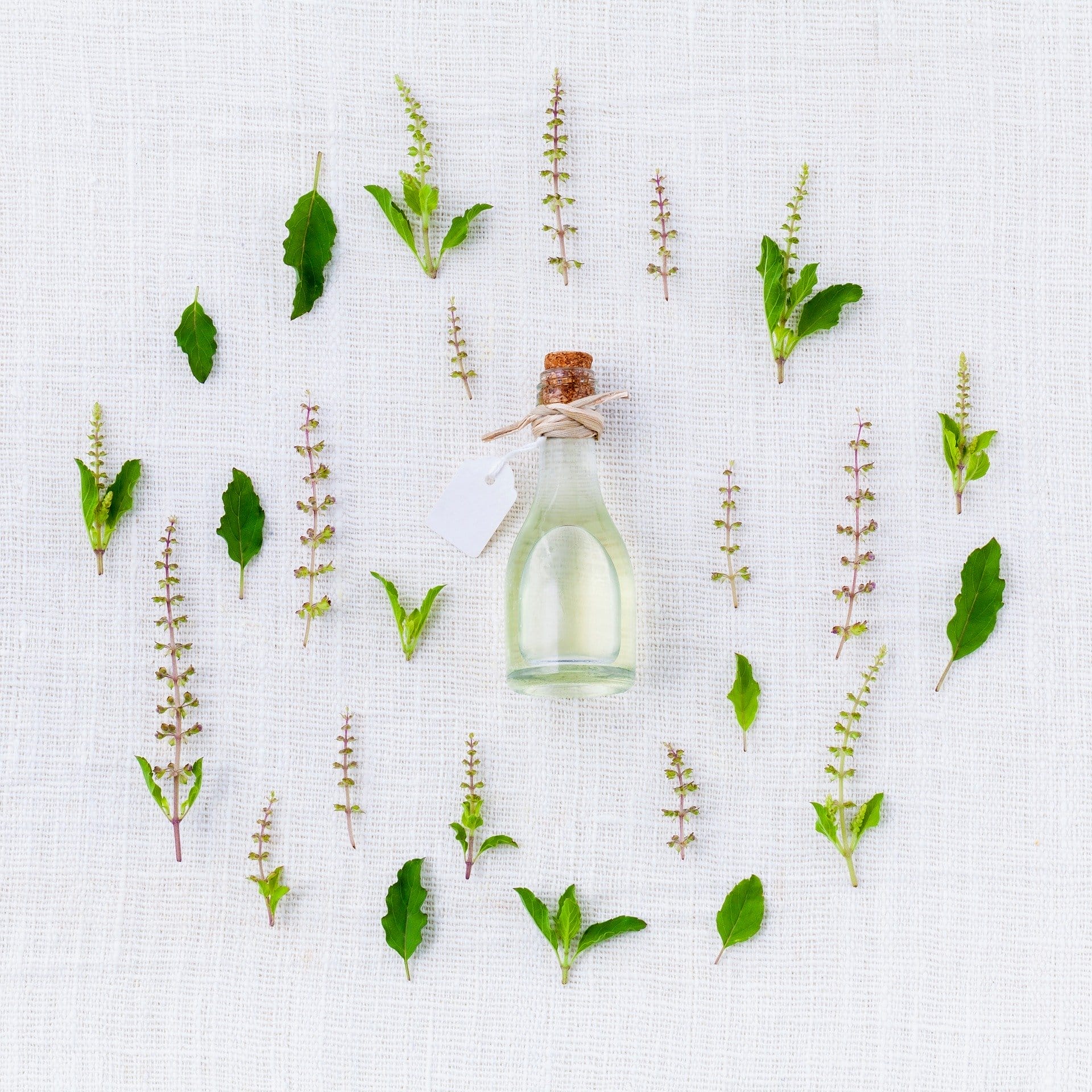 adaptogen supplements to boost immunity