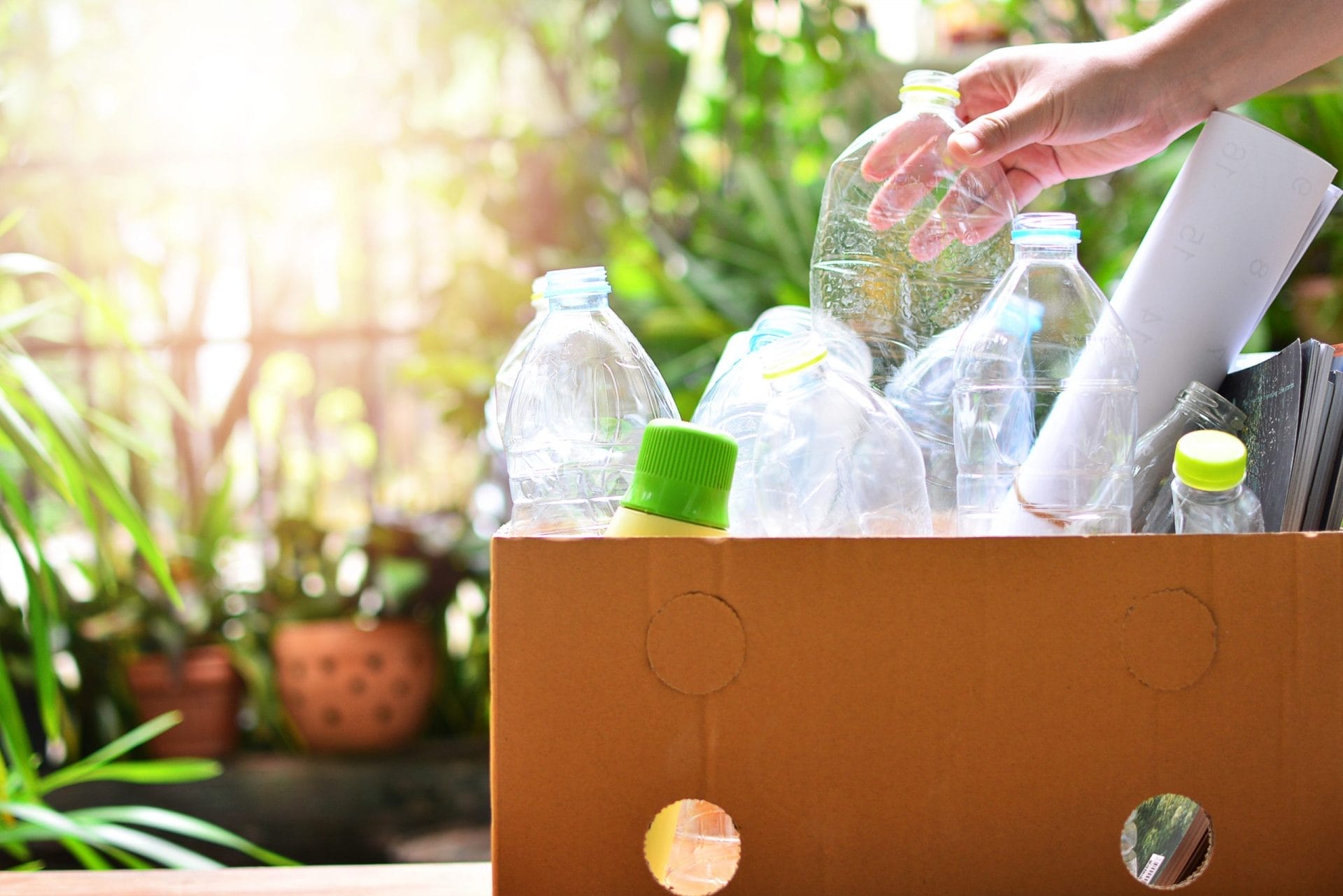 Plastic bottles