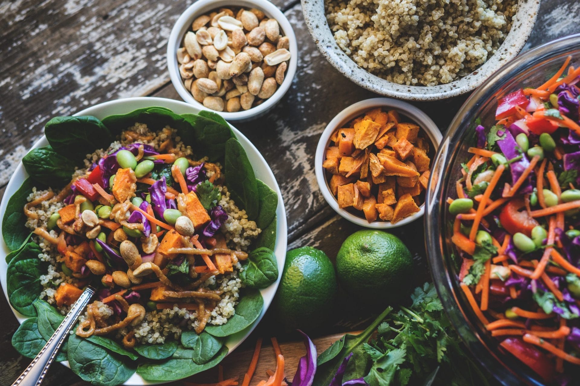 Plant-Based Diet