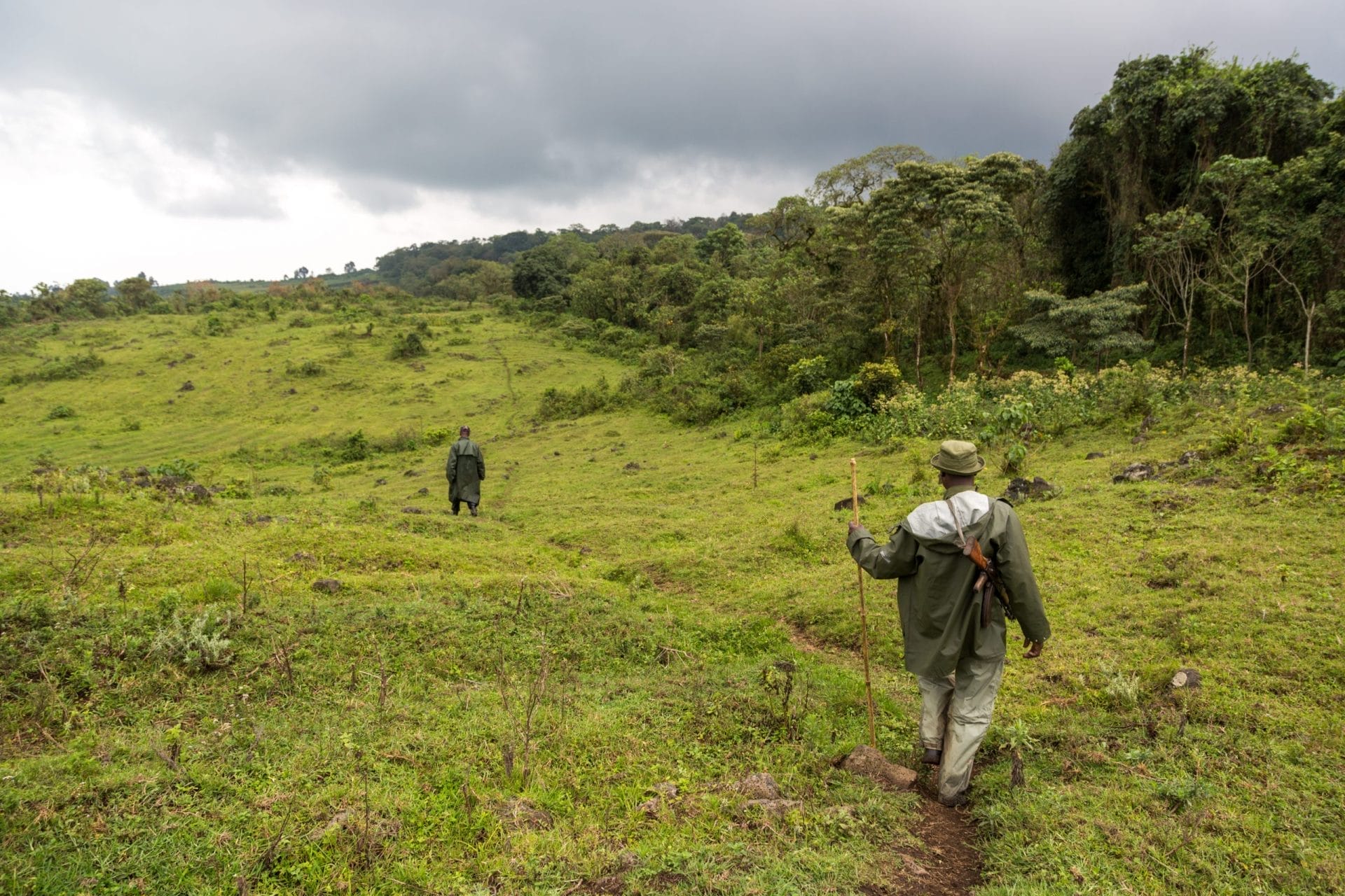 Virunga National park