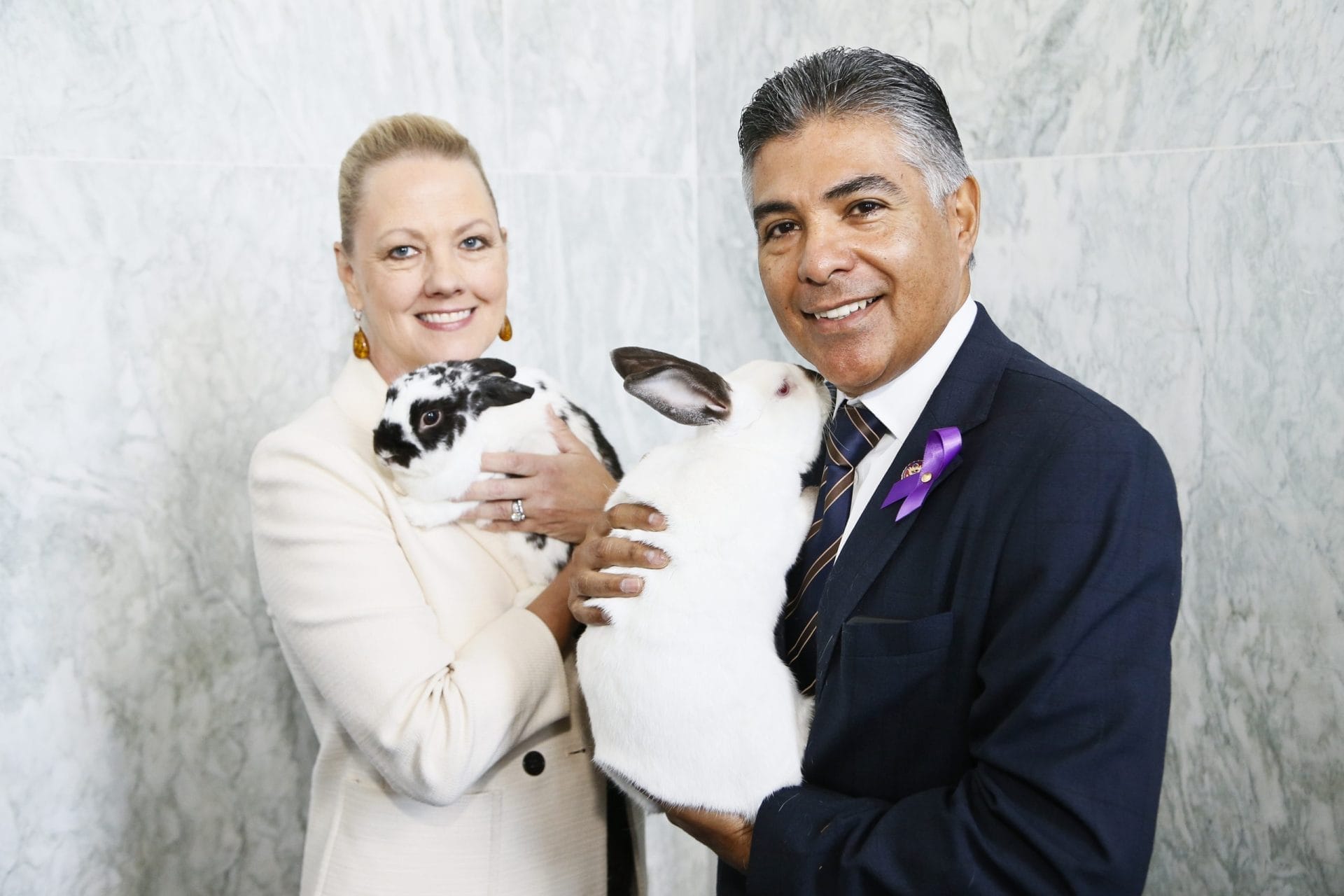 two people holding cats