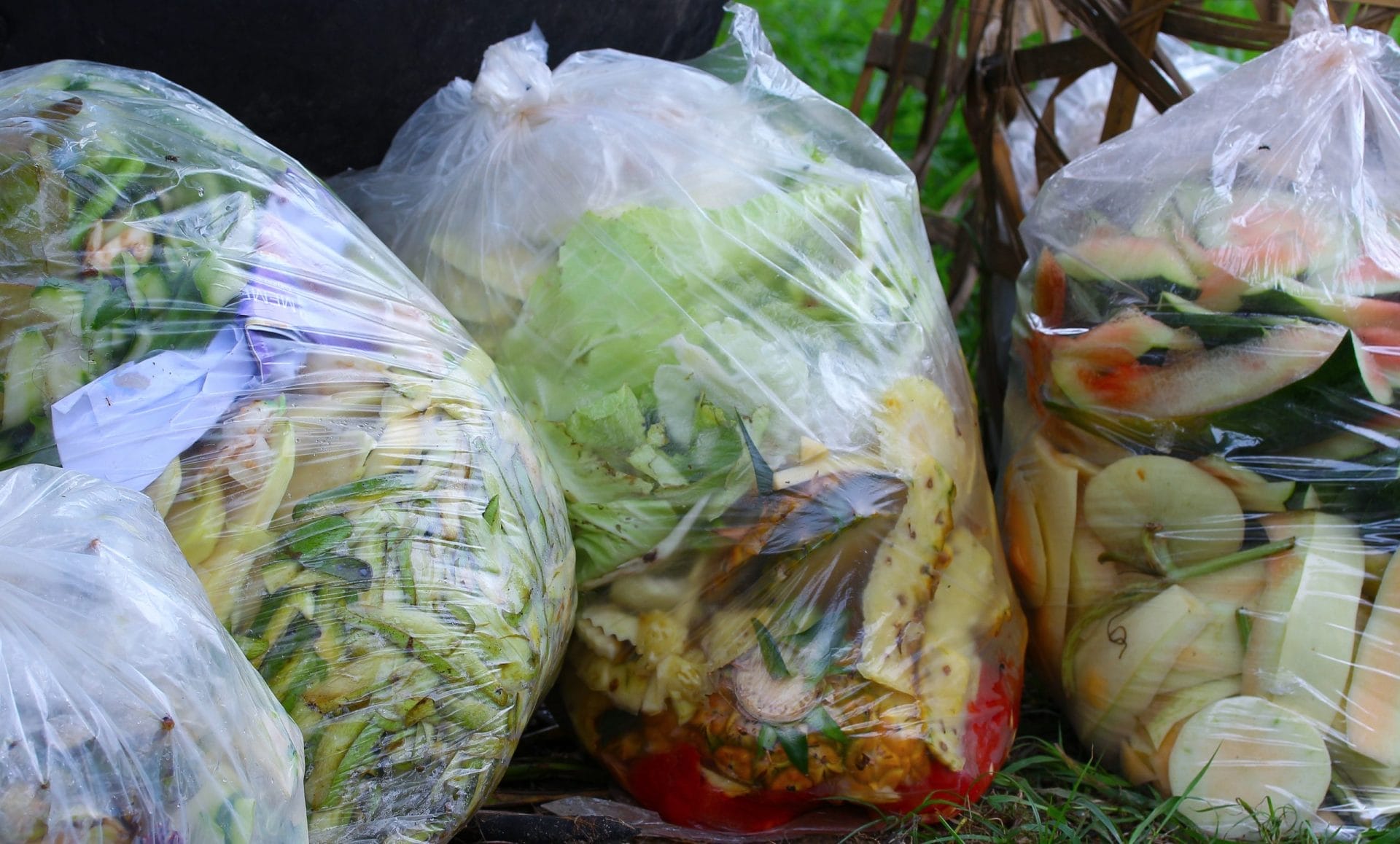 Food Waste