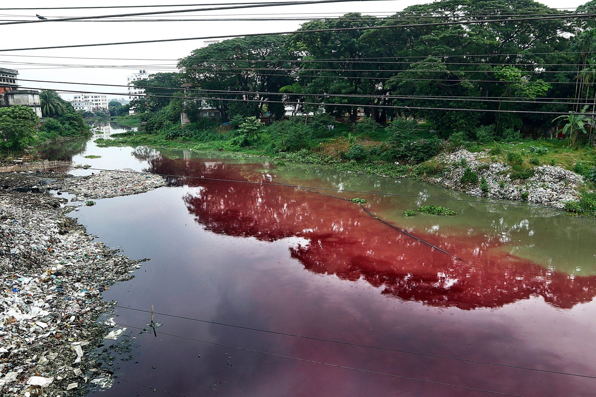 Polluted river