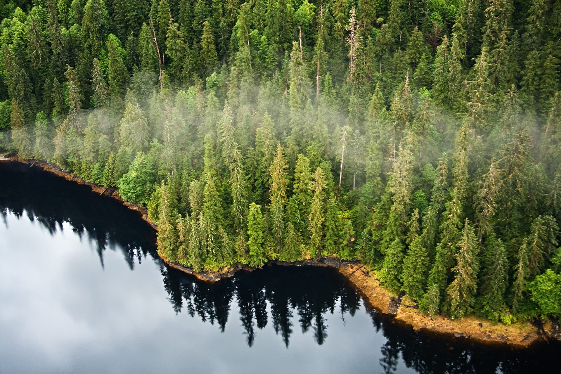 Tongass Forest