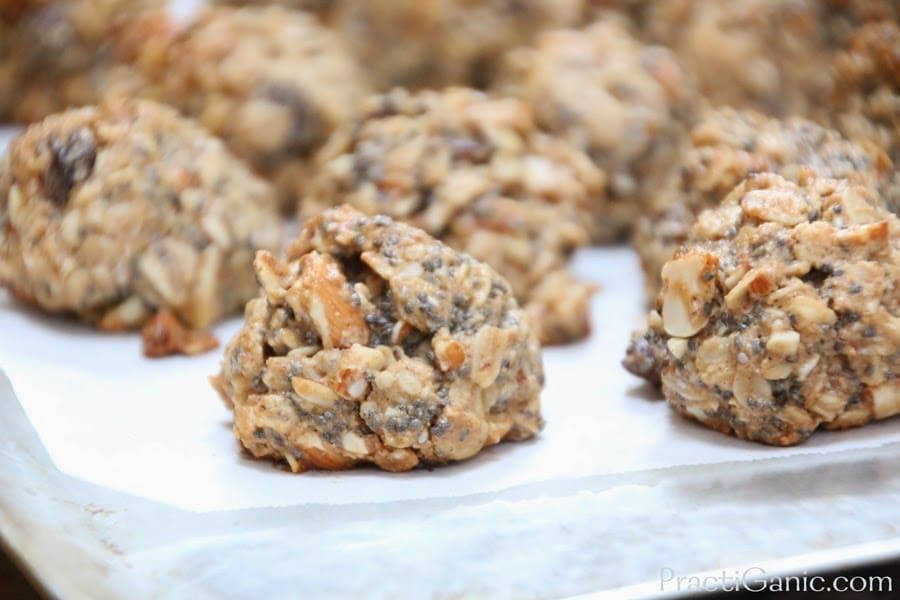 granola bites