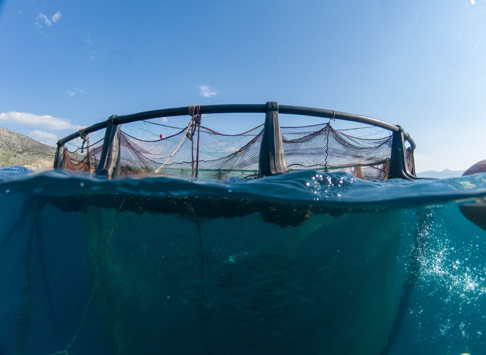 fish farm