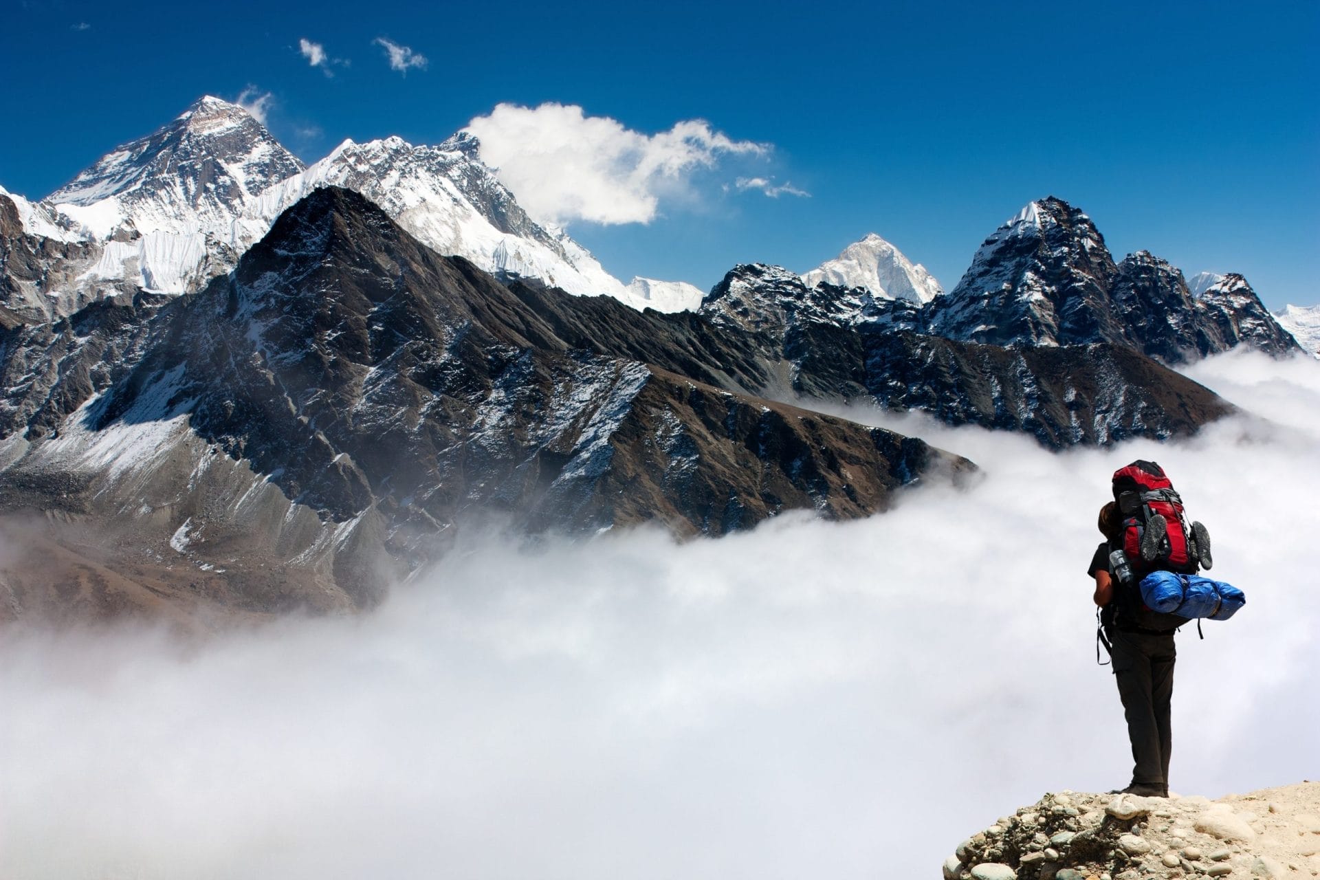 shutterstock_223250095-scaled