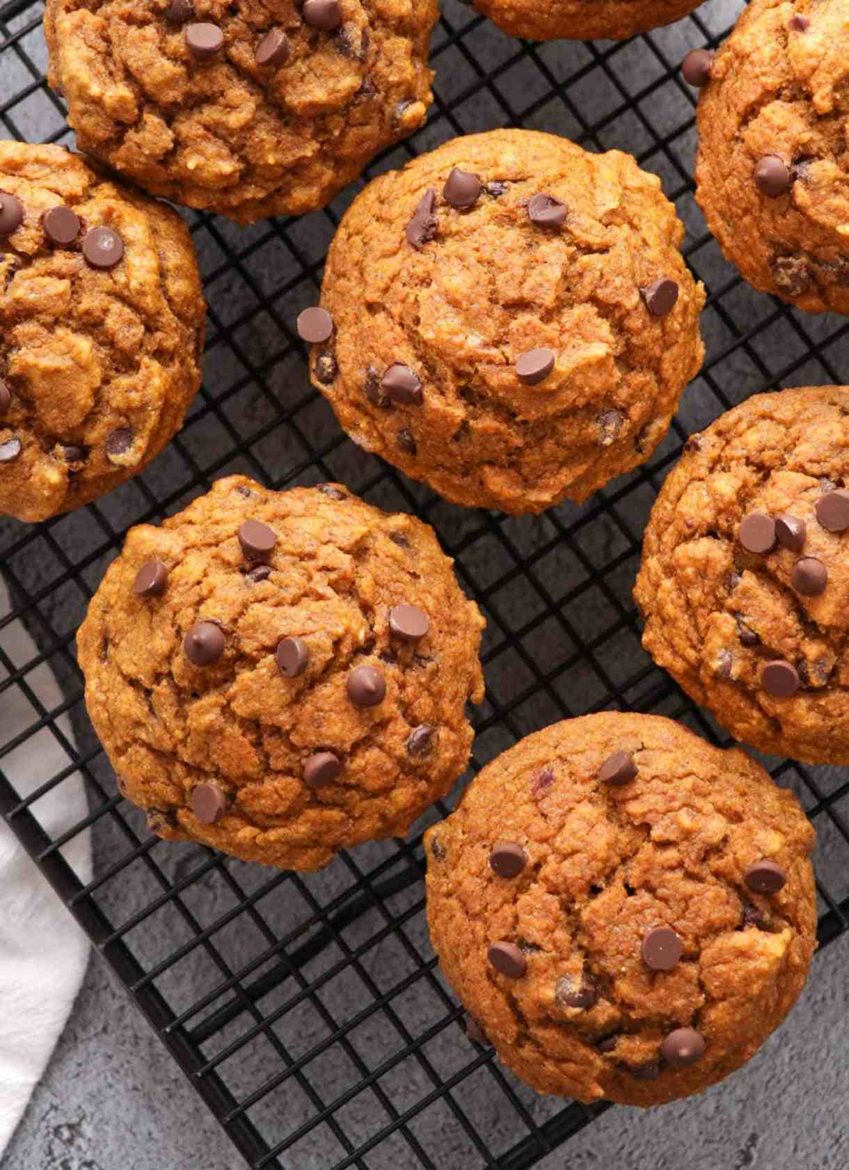 Whole-Wheat Chocolate Chip Pumpkin Muffins