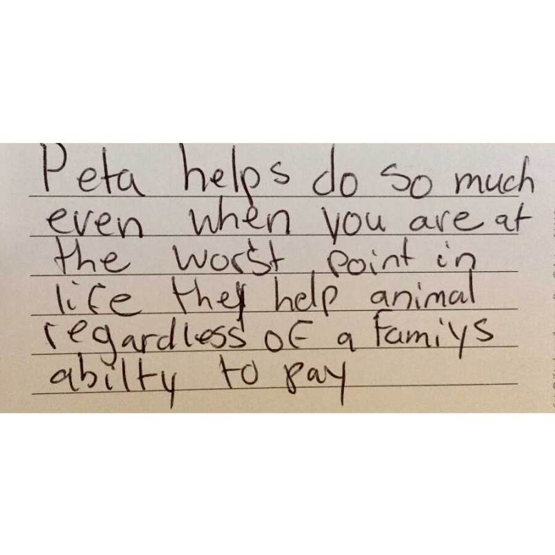 for dogs like Duck, PETA euthanizes